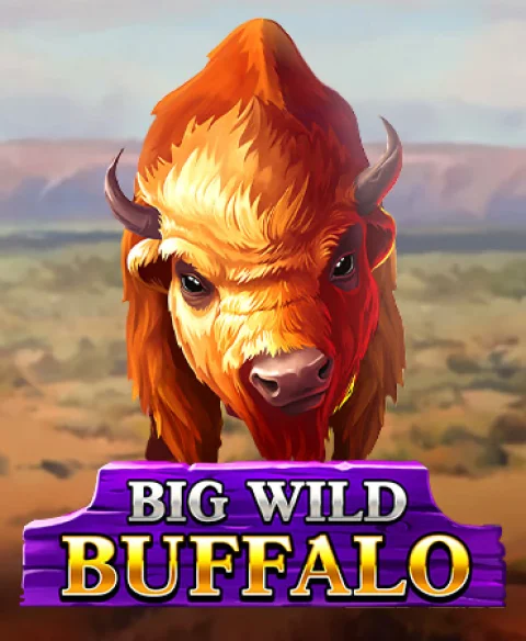 Play Big Wild Buffalo at Cabarino Casino